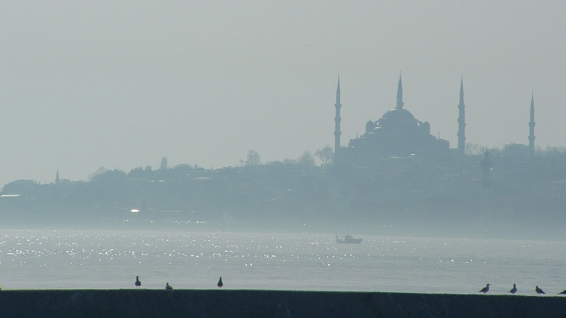 Türkische-Start-ups aus Istanbul