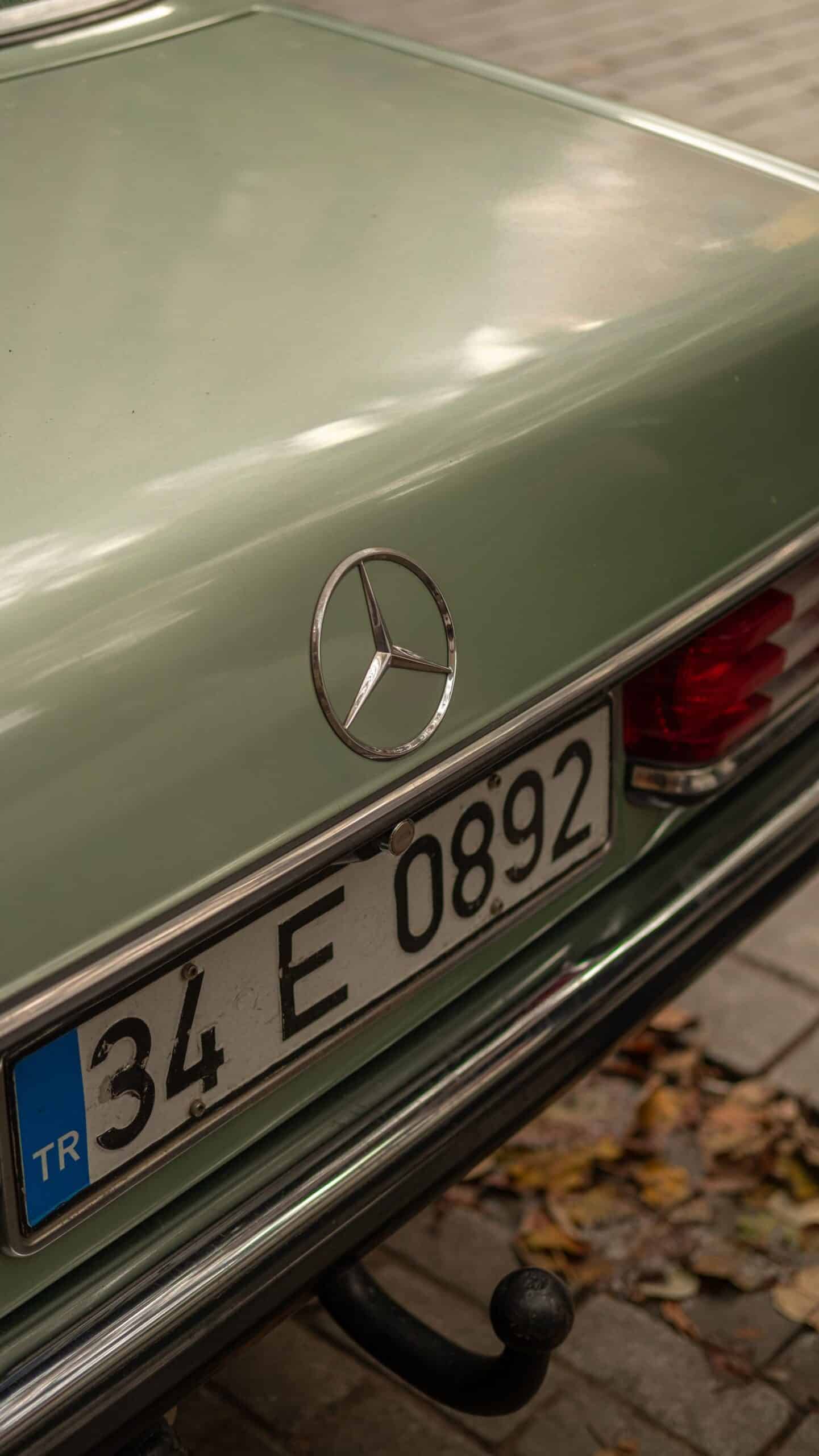 Türkische Wörter zwischen Memleket, Gurbet und Gönül